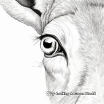 Close-Up of White Tailed Deer's Eye Coloring Page 1