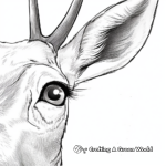 Close-Up of White Tailed Deer's Eye Coloring Page 3