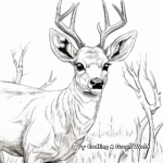 Close-Up of White Tailed Deer's Eye Coloring Page 4