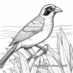 Coastal Seaside Sparrow Coloring Pages 1