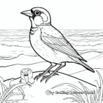 Coastal Seaside Sparrow Coloring Pages 2