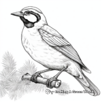 Color meadowlark: Beautiful Bird-Inspired Coloring Pages 2