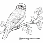 Color the Seasons: Northern Hawk Owl Family Winter and Summer Coloring Pages 4