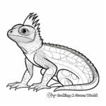 Colorful African Agama Lizard Coloring Pages 4