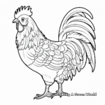 Colorful Bantam Chicken Breeds Coloring Pages 4