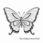 Colorful Butterfly & Insect Coloring Pages 1