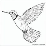 Colorful Costa's Hummingbird Coloring Pages for Adults 2