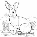 Colorful Desert Cottontail Rabbit Coloring Pages 1