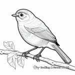 Colorful European Robin Coloring Pages 1