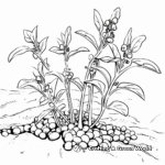 Colorful Field Peas Coloring Pages 1