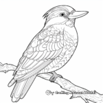 Colorful Kookaburra Coloring Pages 1
