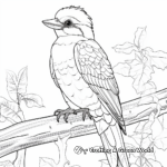 Colorful Kookaburra Coloring Pages 2