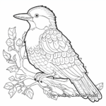 Colorful Kookaburra Coloring Pages 3