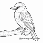 Colorful Kookaburra Coloring Pages 4