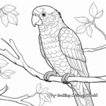 Colorful Lorikeet Parrot Coloring Pages 3