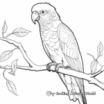 Colorful Lorikeet Parrot Coloring Pages 4