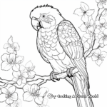 Colorful Macaw Bird Coloring Pages 1