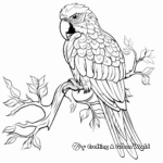 Colorful Macaw Bird Coloring Pages 2