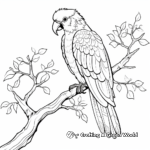 Colorful Macaw Bird Coloring Pages 4