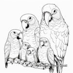 Colorful Macaw Family Coloring Page 1