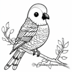 Colorful Parakeet Coloring Pages for Children 4