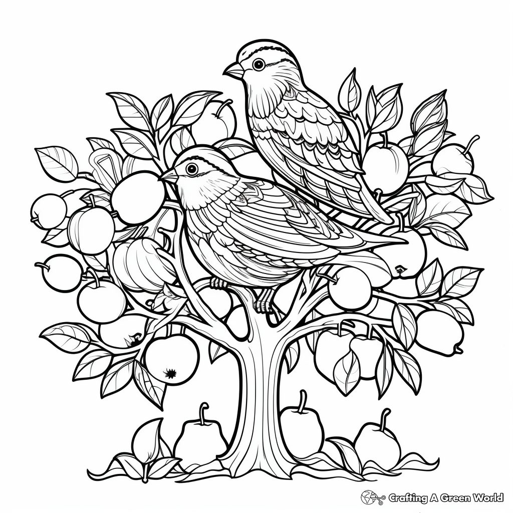 Colorful Partridge in a Pear Tree Coloring Pages 4