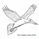 Colorful Pelican in Flight Coloring Pages 2