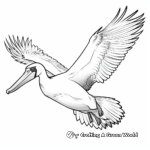 Colorful Pelican in Flight Coloring Pages 3