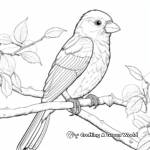 Colorful Rainbow Lorikeet Coloring Pages 2