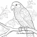 Colorful Rainbow Lorikeet Coloring Pages 3