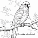 Colorful Rainbow Lorikeet Macaw Coloring Pages 1