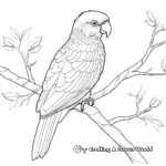 Colorful Rainbow Lorikeet Macaw Coloring Pages 2