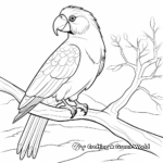 Colorful Rainbow Lorikeet Macaw Coloring Pages 3