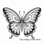 Colorful Tropical Butterfly Coloring Pages 1