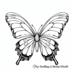 Colorful Tropical Butterfly Coloring Pages 2