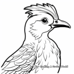 Colorful Woodpecker Species Coloring Pages 1