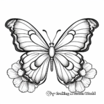 Colorful Zinnia and Butterfly Coloring Pages for Children 2