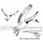 Coloring Pages of Geese Migration 4
