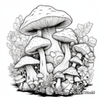Coloring Pages of Rainforest Fungi 4
