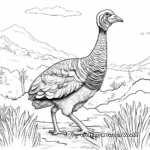 Coloring Pages of Turkey in Natural Habitat 4