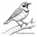 Coloring Pages of Western Meadowlark on a Branch 1