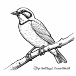 Coloring Pages of Western Meadowlark on a Branch 4