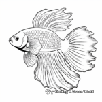 Comanche Betta Fish from Indonesia Coloring Sheets 3