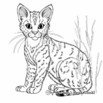 Complicated Savannah Cat Coloring Pages 4