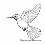 Costa's Hummingbird in Flight Coloring Pages 2