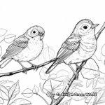Courting Wrens: Forest-Scene Coloring Pages 3