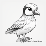Creative Atlantic Puffin Coloring Pages 4
