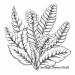 Creative Fern Plant Coloring Pages for Adults 4