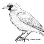 Crow Feather Closeup Coloring Pages 2