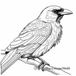 Crow Feather Closeup Coloring Pages 4